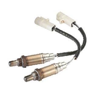 Oxygen Sensors